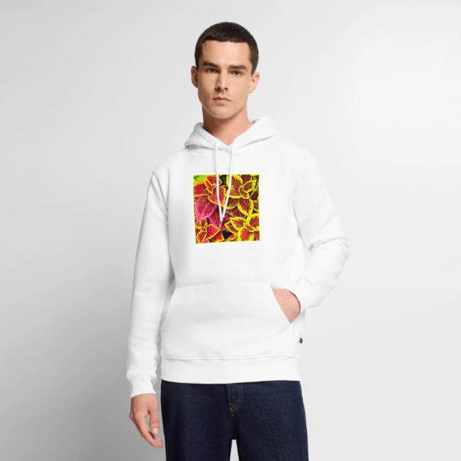 Coleus Leaf Burst Design