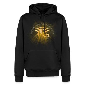 Golden Eye of Horus Ancient Egyptian Symbol - Men's Premium Hoodie - black - Front - Nico (187cm) & Julia (174cm)