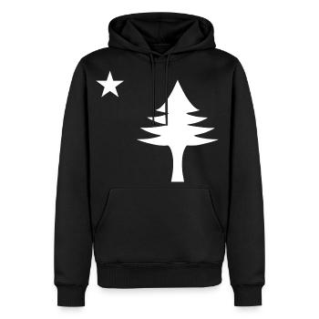 Pine tree and star 1901 flag of Maine State - Men's Premium Hoodie - black - Front - Nico (187cm) & Julia (174cm)