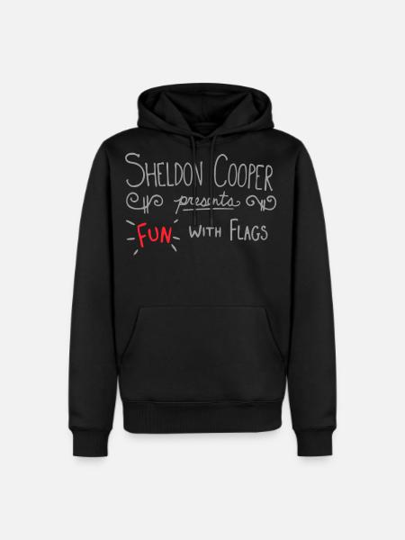 The Big Bang Theory Fun With Flags - Men's Premium Hoodie - black