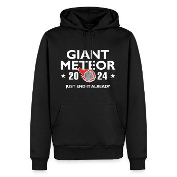 Giant Meteor 2024 - Men's Premium Hoodie - black - Front - Nico (187cm) & Julia (174cm)