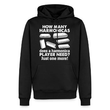 How Many Harmonicas Does A Harmonica Player Need? - Men's Premium Hoodie - black - Front - Nico (187cm) & Julia (174cm)