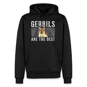 Gerbils Are The Best Racing Rat Rodent Mouse Lover - Men's Premium Hoodie - black - Front - Nico (187cm) & Julia (174cm)