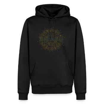 Vintage Shenandoah National Park - Men's Premium Hoodie - black - Front - Nico (187cm) & Julia (174cm)