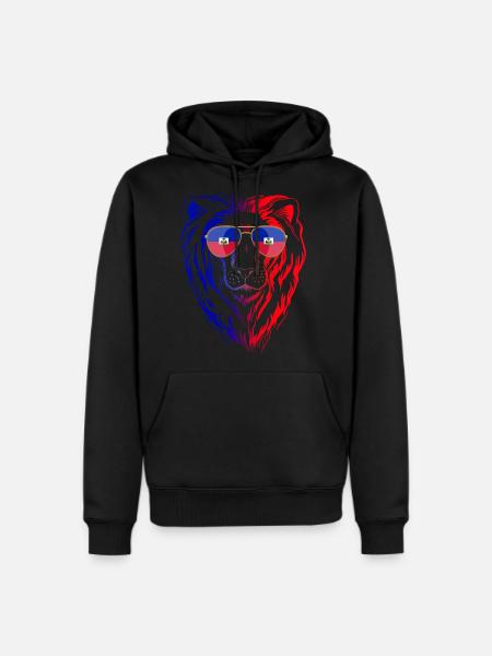 Haiti - Men's Premium Hoodie - black