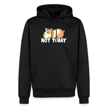 Not Today American Crested Cavy Caviidae Guinea - Men's Premium Hoodie - black - Front - Nico (187cm) & Julia (174cm)