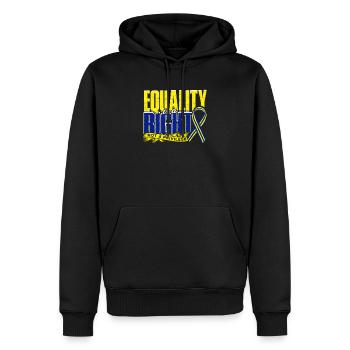Equality is a Right, Not a Privilege - Equality - Men's Premium Hoodie - black - Front - Nico (187cm) & Julia (174cm)