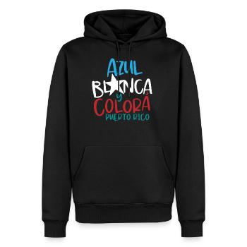 Puerto Rico Red White And Blue - Men's Premium Hoodie - black - Front - Nico (187cm) & Julia (174cm)