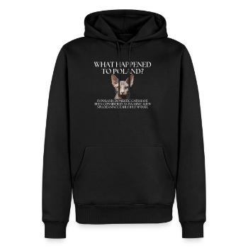 Invasive Alien Cat Meme Design - Men's Premium Hoodie - black - Front - Nico (187cm) & Julia (174cm)