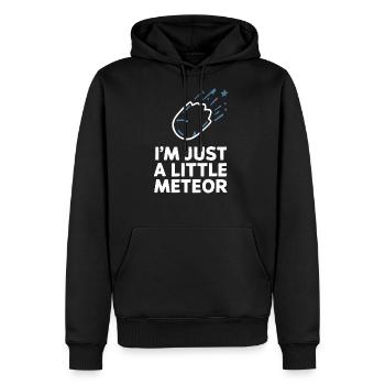 Stargazing Adventures Under the Meteor Shower - Men's Premium Hoodie - black - Front - Nico (187cm) & Julia (174cm)