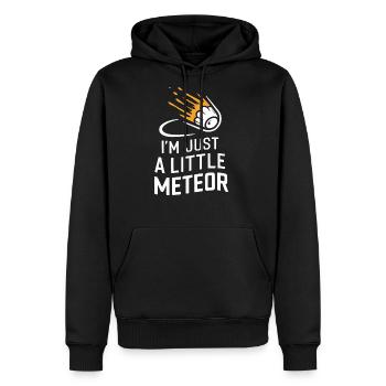 Stargazing Adventures Under the Meteor Shower - Men's Premium Hoodie - black - Front - Nico (187cm) & Julia (174cm)