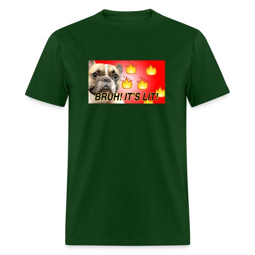 IMG 1465 - Men's T-Shirt