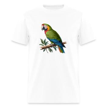 parrot - Men's T-Shirt - white - Front - Jose (178cm)