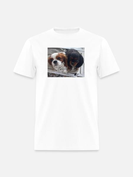 Cavalier Duo on Bench - Men's T-Shirt - white