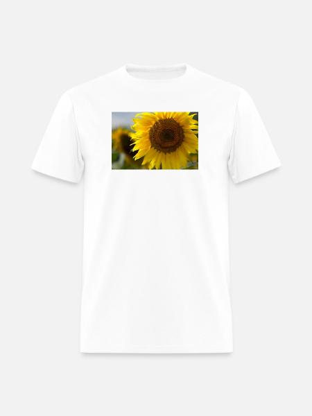 Sunlit Spiral Sunflower - Men's T-Shirt - white