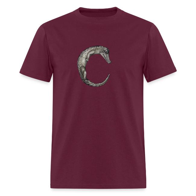 crocodile Transparent