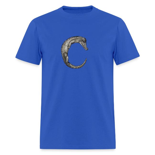 crocodile Transparent