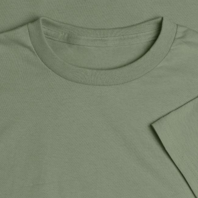 2024 Zombie Explorer