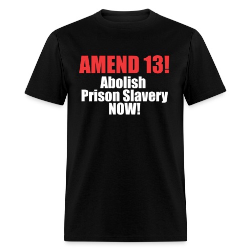 Amend 13 Fitted T-shirt - Men's T-Shirt