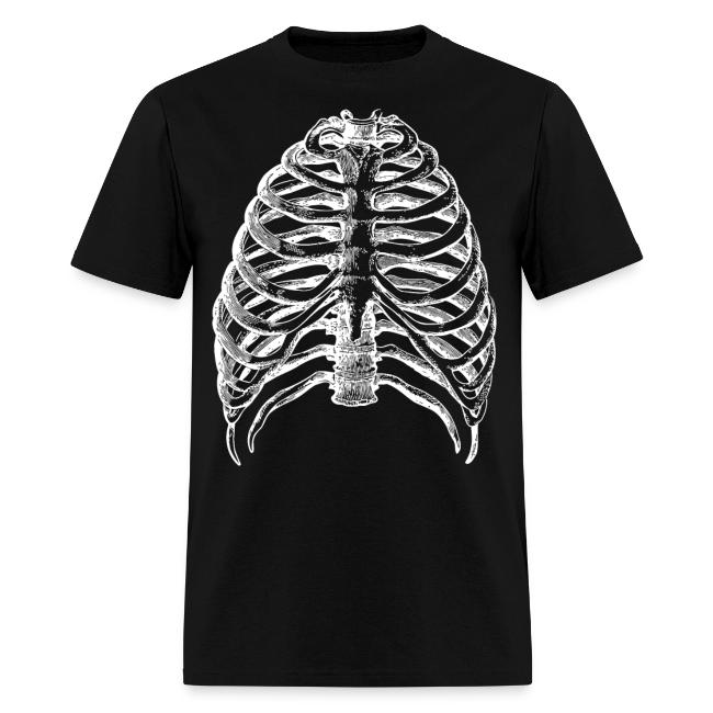 Human Rib Cage