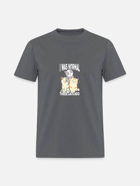 I Was Normal - Men's T-Shirt - charcoal
