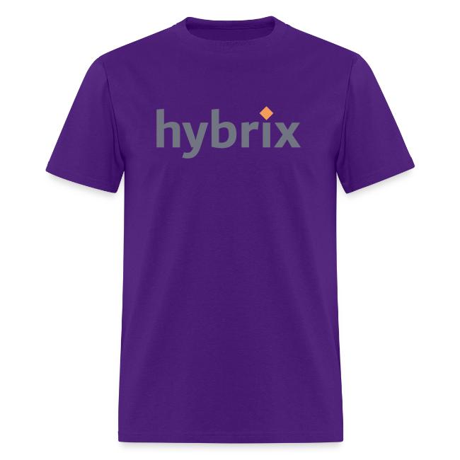 Hybrix logo
