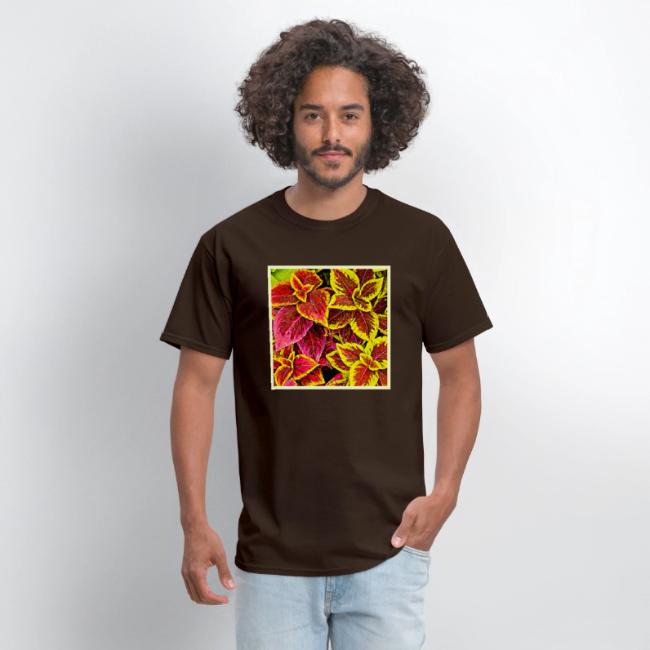 Coleus Leaf Burst Design
