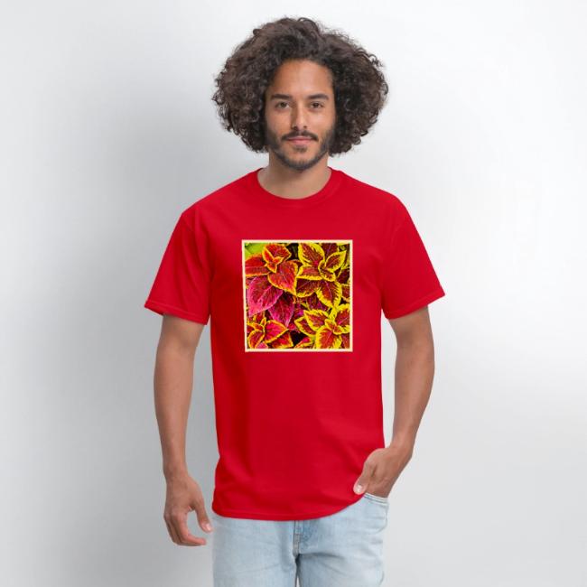 Coleus Leaf Burst Design