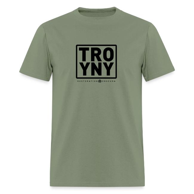 TROY NY Cube