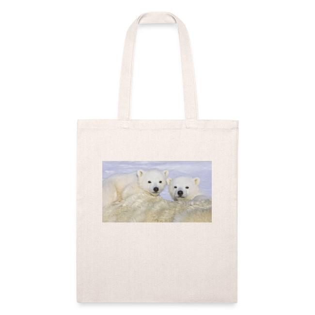 polarbears