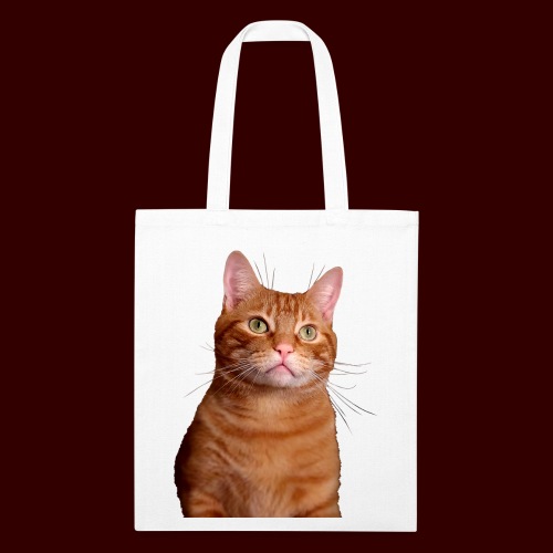 Tabby Cat Gift - Recycled Tote Bag