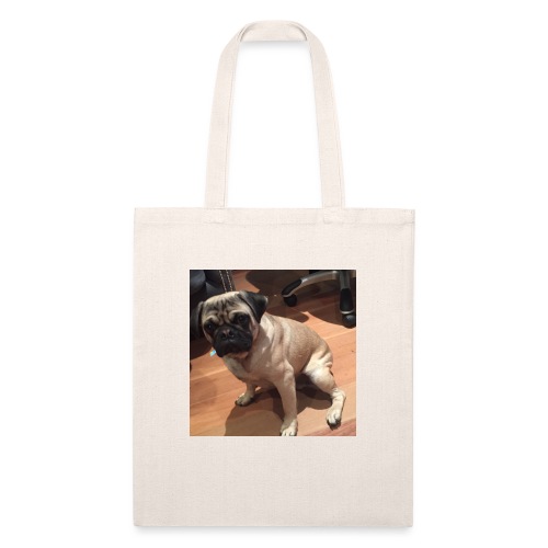 Gizmo Fat - Recycled Tote Bag