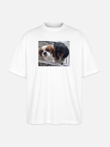 Cavalier Duo on Bench - Stanley/Stella Blaster Oversized T-Shirt  - white