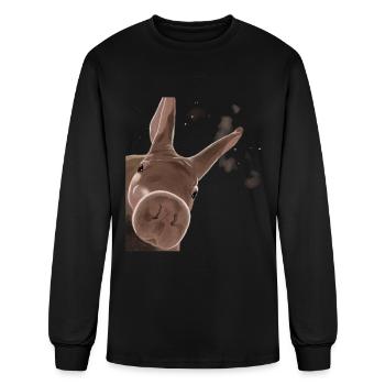 Curious Aardvark - Men's Long Sleeve T-Shirt - black - Front