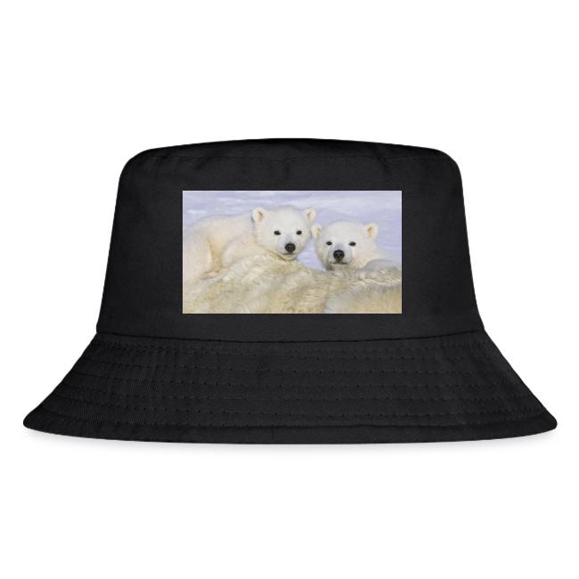 polarbears