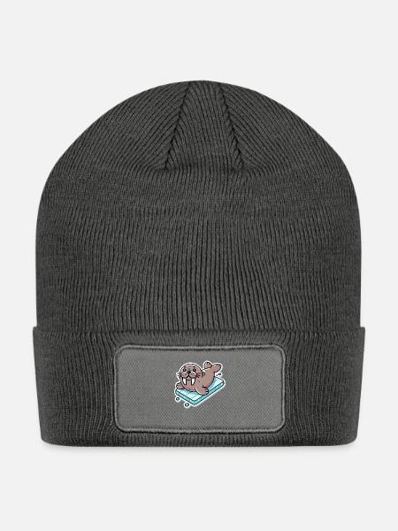 Seal - Patch Beanie - charcoal grey