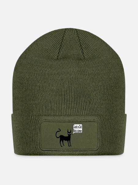 I'm Just a Cat, Not a Demon - Patch Beanie - olive