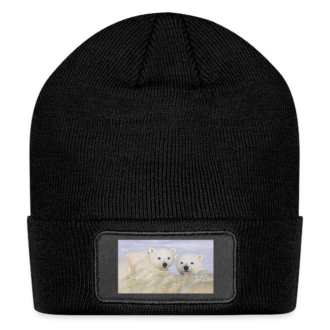 polarbears