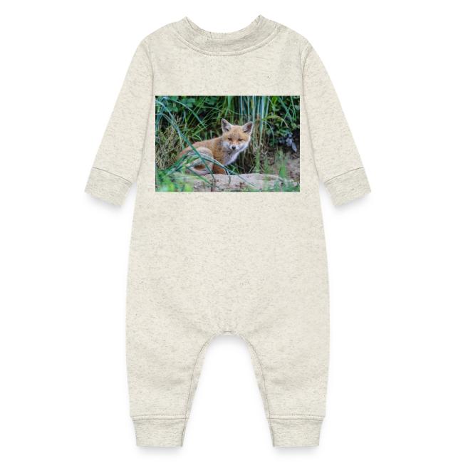 fox