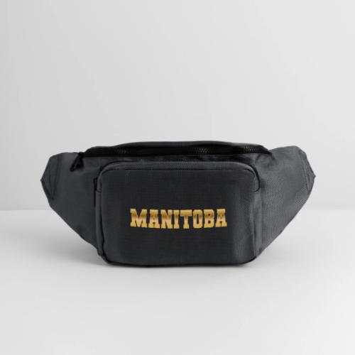 Manitoba - Large Crossbody Hip Bag 