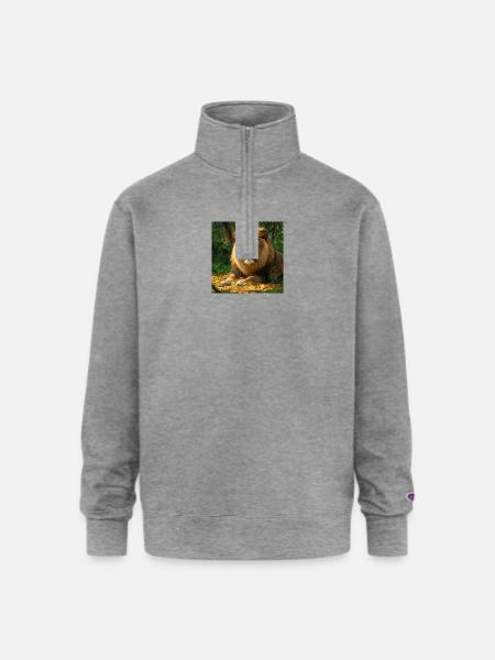 Lion coin - Champion Unisex 1/4 Zip Pullover Sweatshirt - heather gray