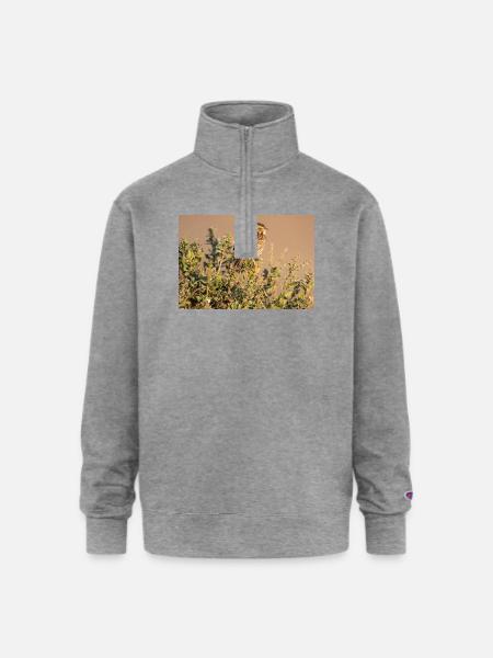 Small bird, big personality - Champion Unisex 1/4 Zip Pullover Sweatshirt - heather gray