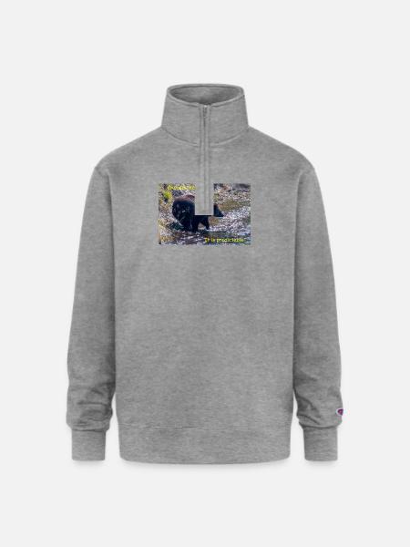 Choose The Bear - Champion Unisex 1/4 Zip Pullover Sweatshirt - heather gray