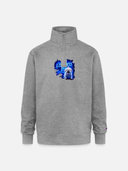 Locked In Pup Power - Champion Unisex 1/4 Zip Pullover Sweatshirt - heather gray