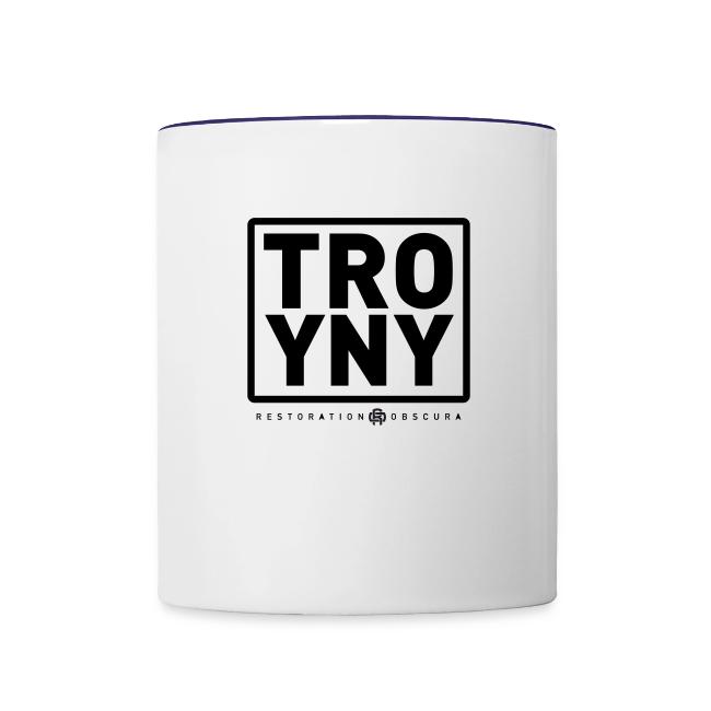 TROY NY Cube