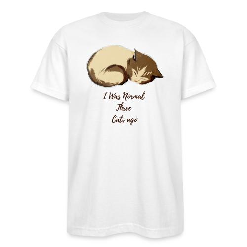 I Was Normal Three Cats Ago Funny Cat T-Shirt - Bayside Unisex Heavyweight USA Made T-Shirt