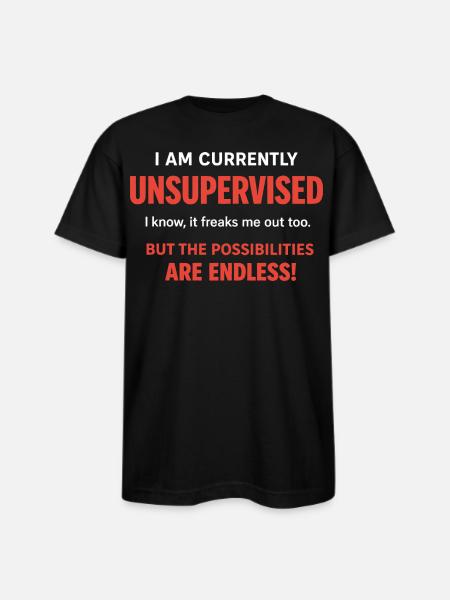 Endless Possibilities Unsupervised - Bayside Unisex Heavyweight USA Made T-Shirt - black