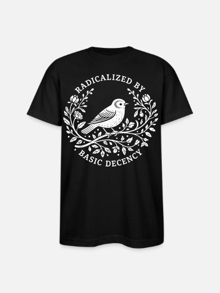 Radicalized by Basic Decency - Bayside Unisex Heavyweight USA Made T-Shirt - black