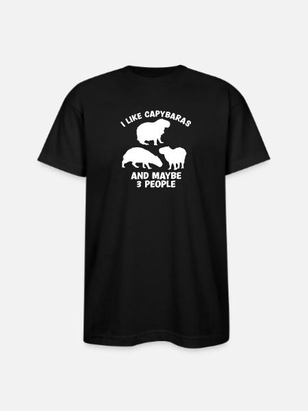 Capybara zoo animal design - Bayside Unisex Heavyweight USA Made T-Shirt - black