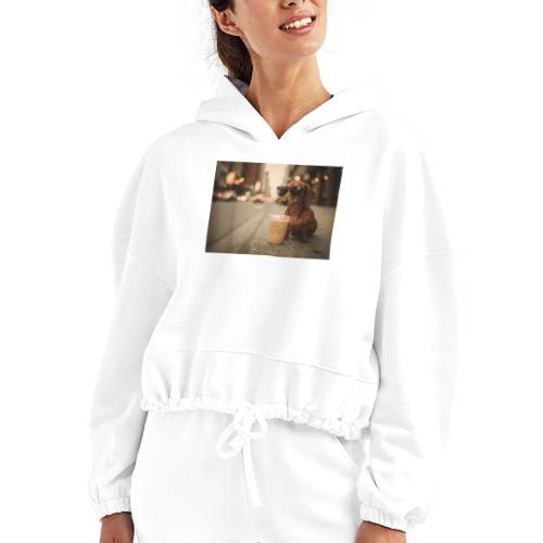 Funny Dachshund Iced Coffee Lover Tee - Women’s Cropped Hoodie
